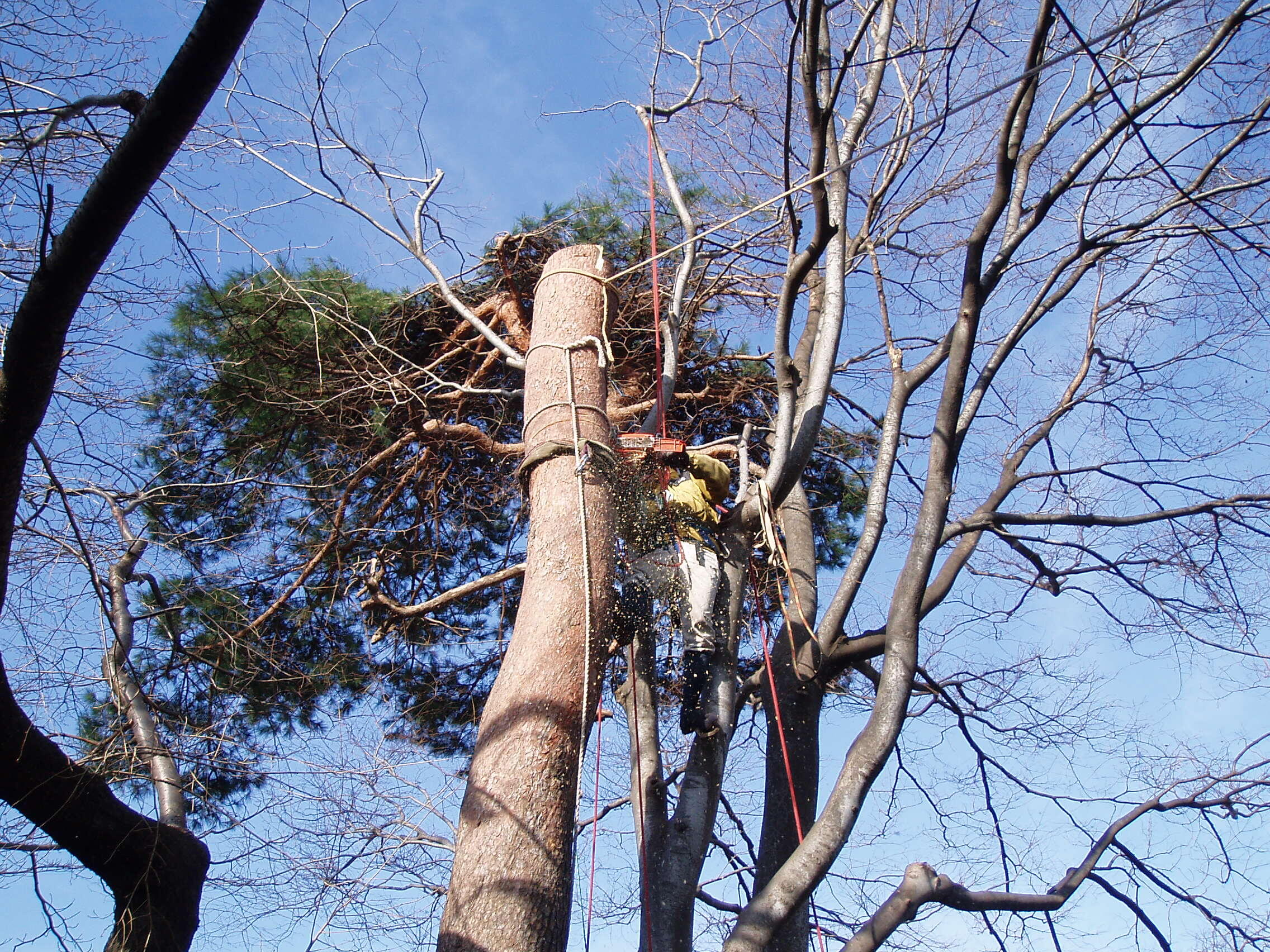 公園・芝生地