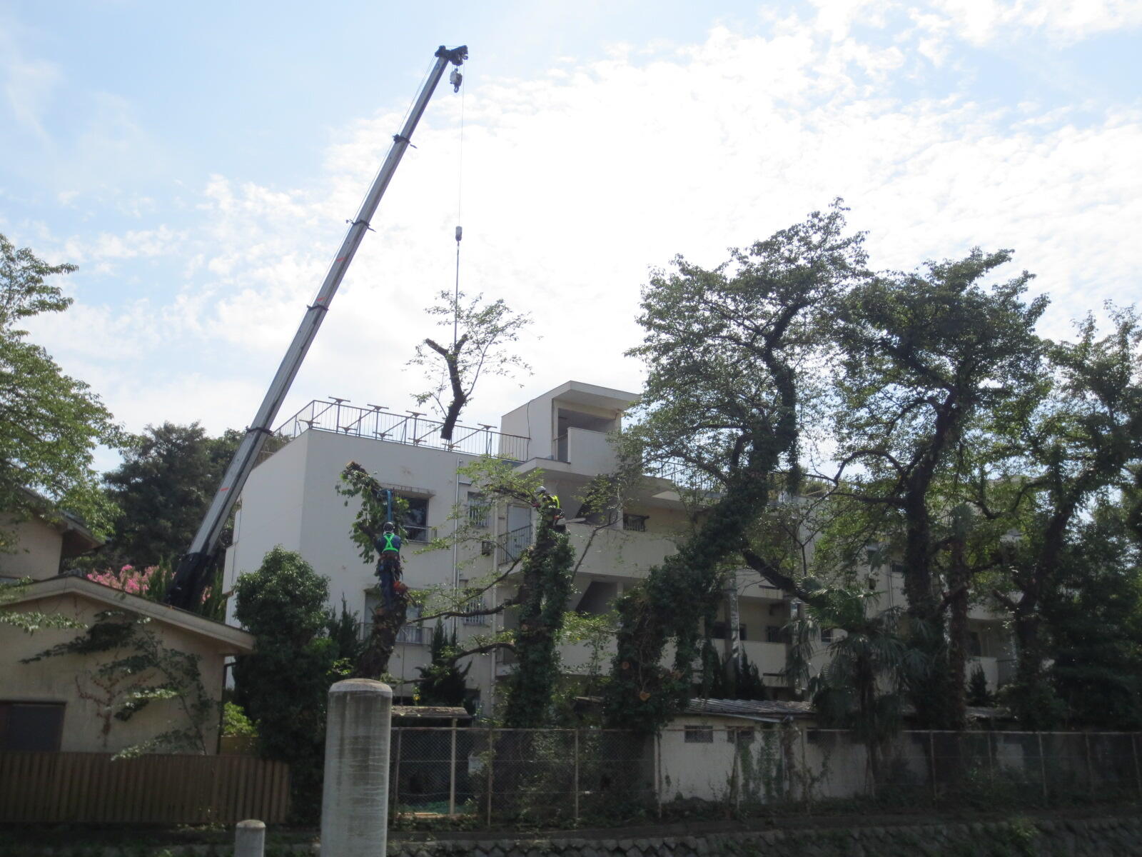 公園・芝生地